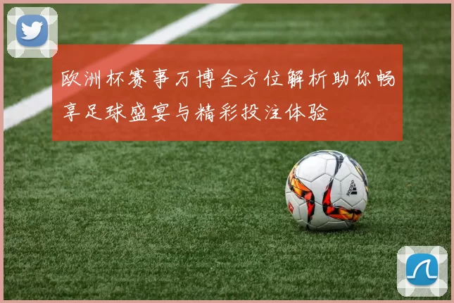 欧洲杯赛事万博全方位解析助你畅享足球盛宴与精彩投注体验