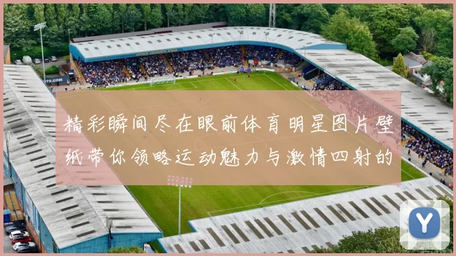 精彩瞬间尽在眼前体育明星图片壁纸带你领略运动魅力与激情四射的风采