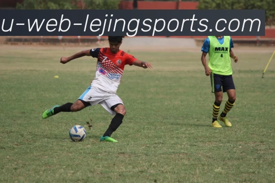 乐竞体育平台生态图